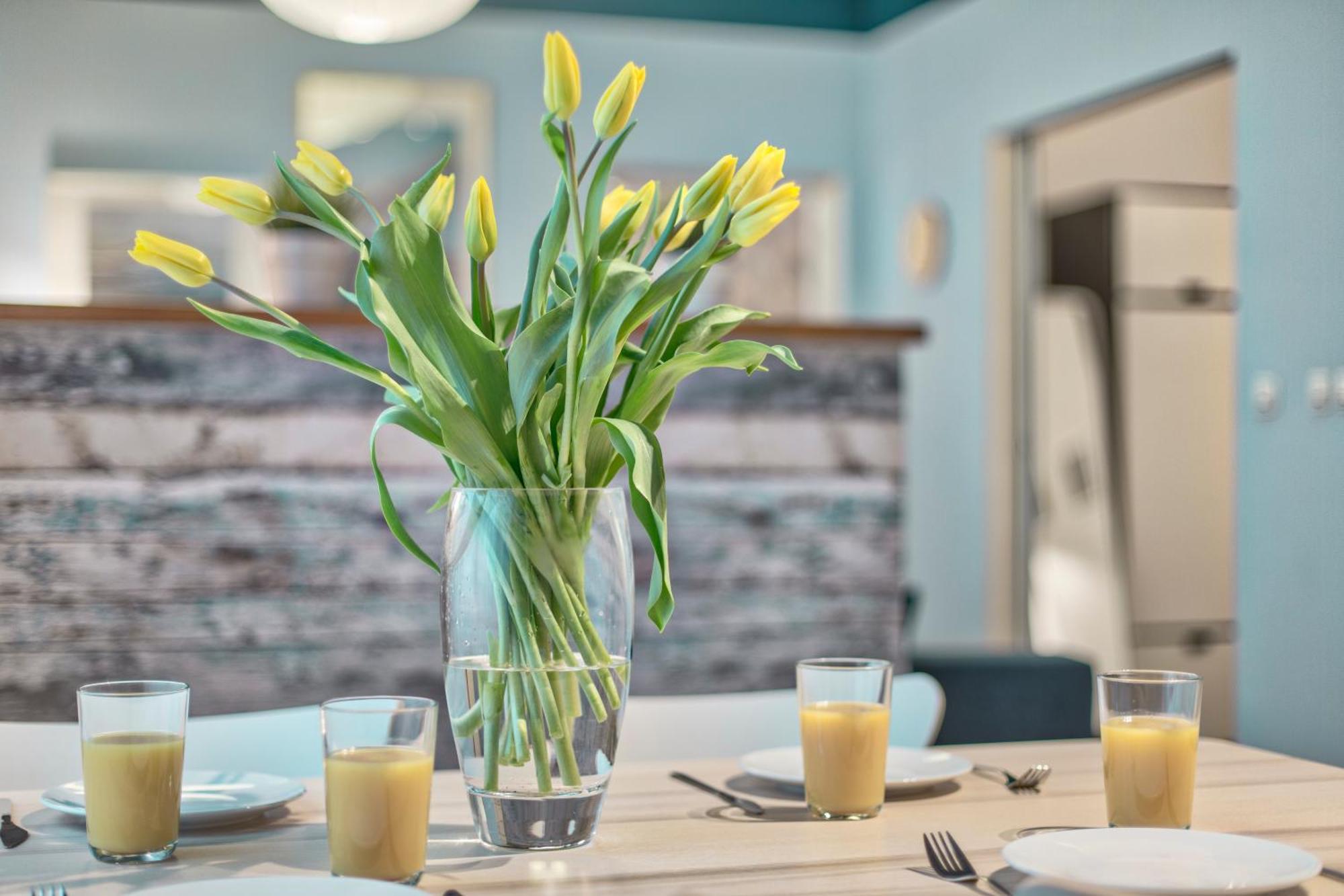 Tyzenhauz Apartments Zygmunta Augusta Street Krakow Ngoại thất bức ảnh